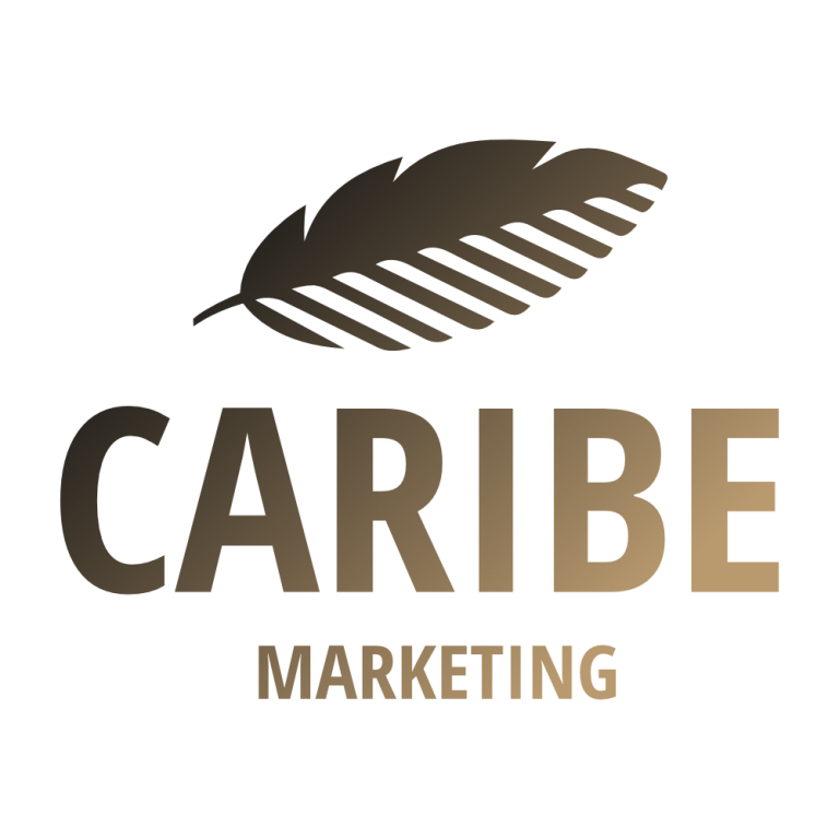 Web Agency San Donà di Piave Venezia, Caribe Marketing